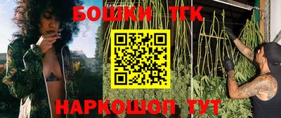 гидропоника Будённовск
