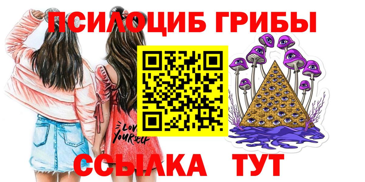 Темрюк  Псилоцибиновые грибы Psilocybine cubensis  Вход с VPN 