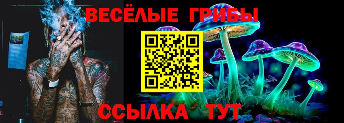 Псилоцибиновые грибы мицелий Темрюк
