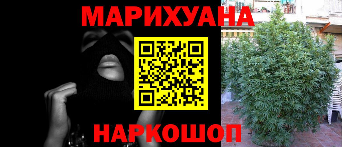 Бошки марихуана план  Вход с VPN  Канабис SATIVA & INDICA  Темрюк 
